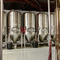 500L schlüsselfertige automatisierte kommerzielle Bierbrauanlage zum Verkauf in Irland