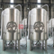 15BBL Edelstahl Commercial Craft Beer Equipment Brite Tank / Sekundärtank Sanitär zum Verkauf